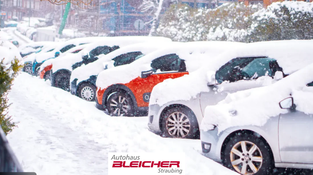 🌟 Warum es nicht das eine richtige Auto gibt